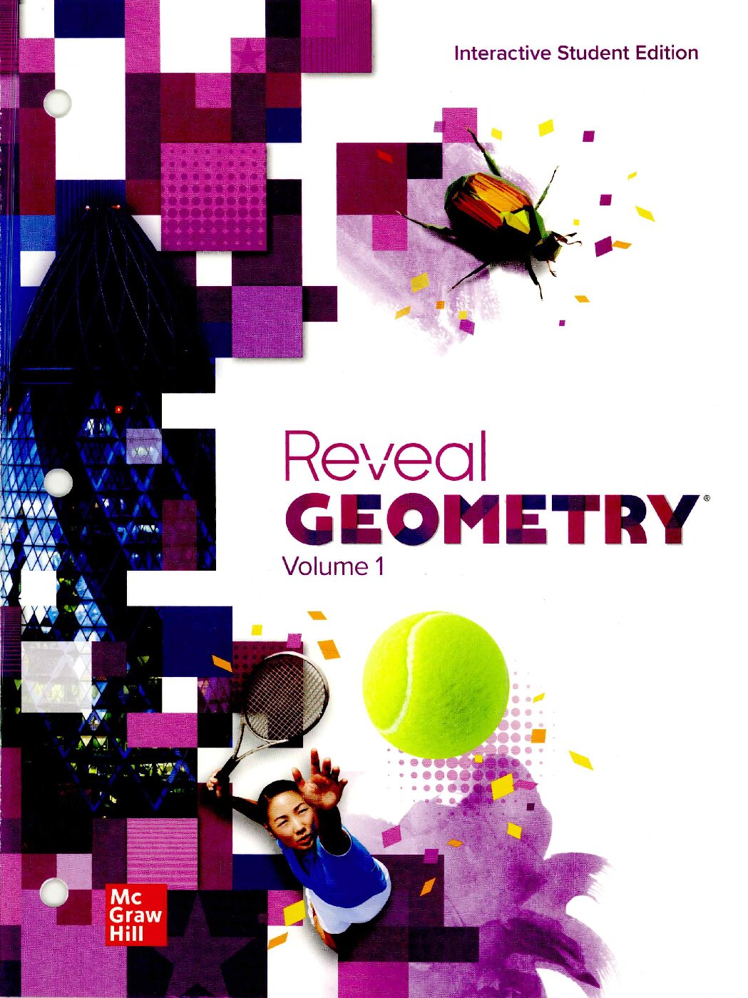 Reveal Geometry Vol 1